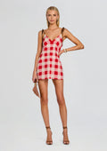 Shantie Mini Dress