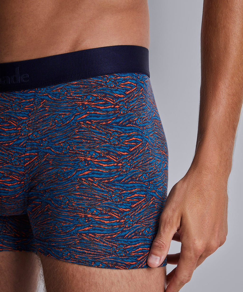 Aubade Homme 2er-Pack Boxershorts Blue Tiger